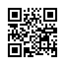 QR CODE 1333