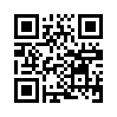 QR CODE 1337