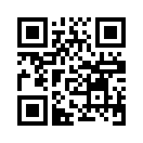 QR CODE 1381