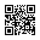 QR CODE 31