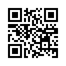 QR CODE 329