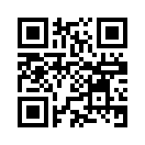 QR CODE 336