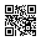 QR CODE 344