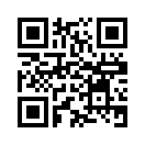 QR CODE 394