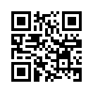 QR CODE 461