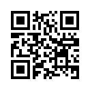 QR CODE 494