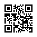 QR CODE 501