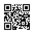 QR CODE 53