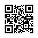 QR CODE 913