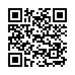 QR CODE 27