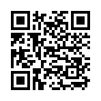 QR CODE 31