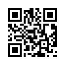 QR CODE 110