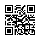 QR CODE 133