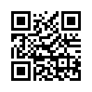 QR CODE 47