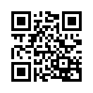 QR CODE 53