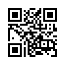 QR CODE 31