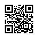QR CODE 31