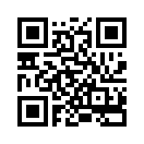 QR CODE 29