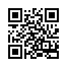 QR CODE 30