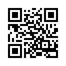 QR CODE 31