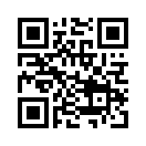 QR CODE 394