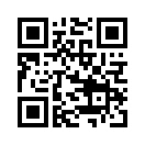 QR CODE 447