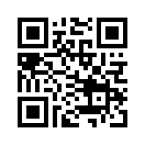 QR CODE 737
