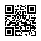 QR CODE 856