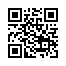 QR CODE 913