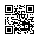 QR CODE 990