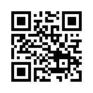 QR CODE 993