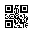 QR CODE 13