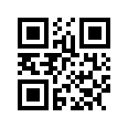 QR CODE 21