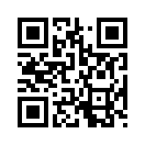 QR CODE 245