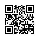 QR CODE 1333