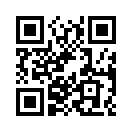QR CODE 1393
