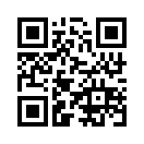 QR CODE 281