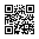 QR CODE 917