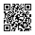 QR CODE 317
