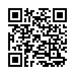 QR CODE 318