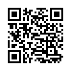 QR CODE 323