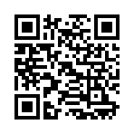 QR CODE 334