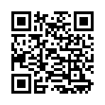 QR CODE 336