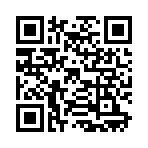 QR CODE 338