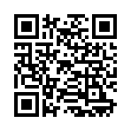 QR CODE 339