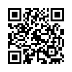 QR CODE 383