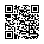 QR CODE 387