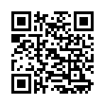 QR CODE 394