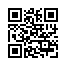 QR CODE 42