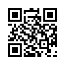 QR CODE 13
